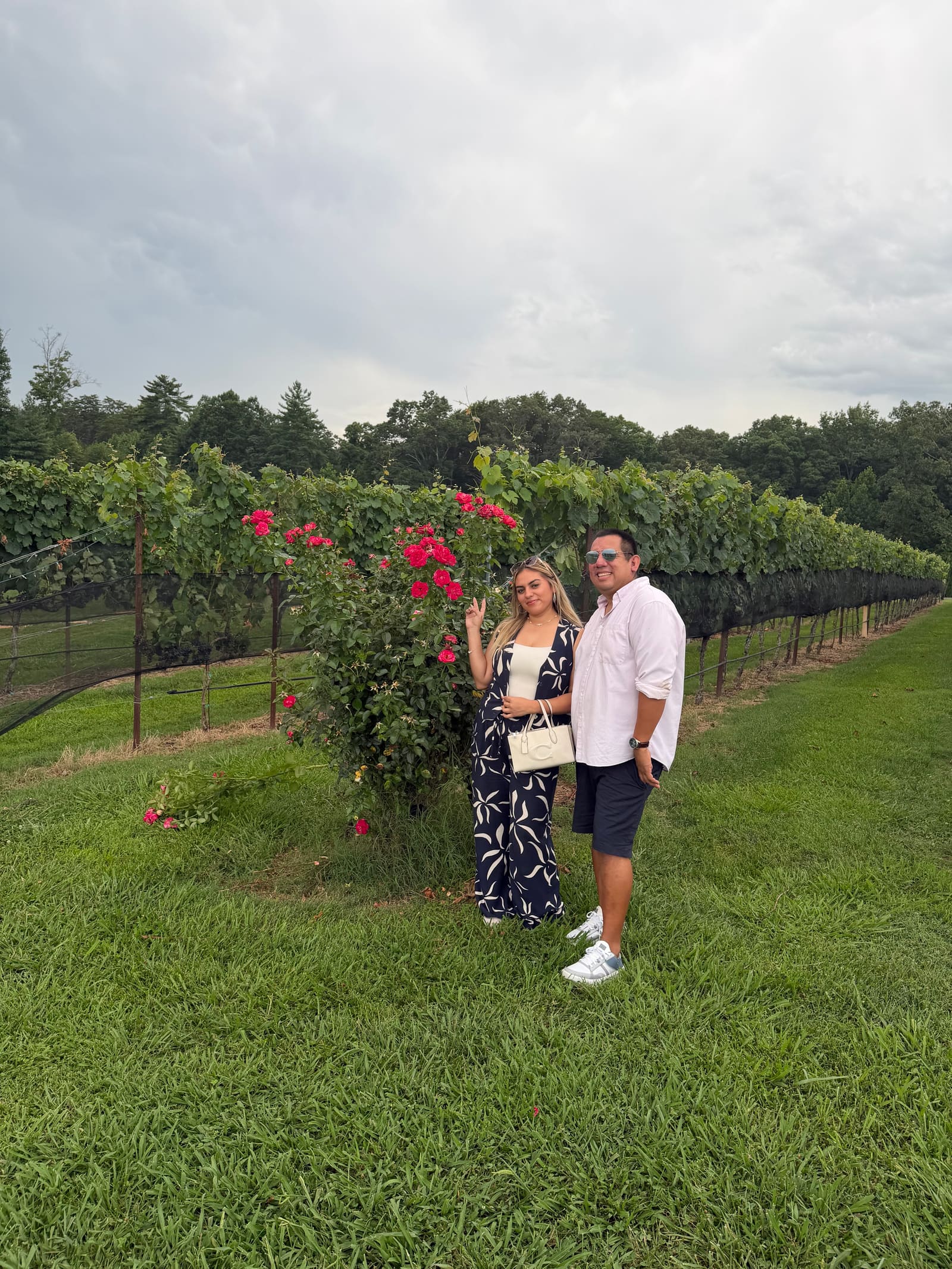 Pena Wine Tours guests and vineyard scenes in North Georgia
