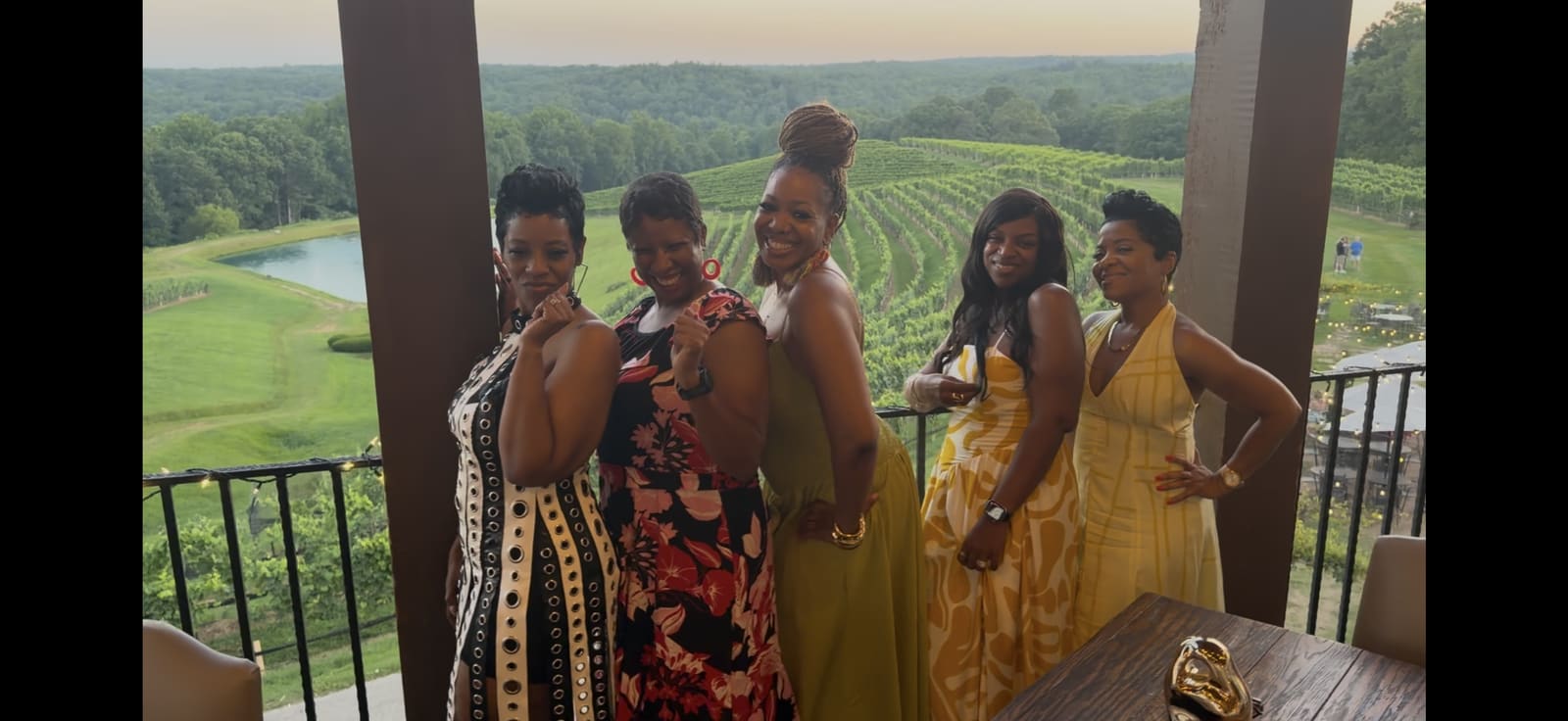 Pena Wine Tours guests and vineyard scenes in North Georgia