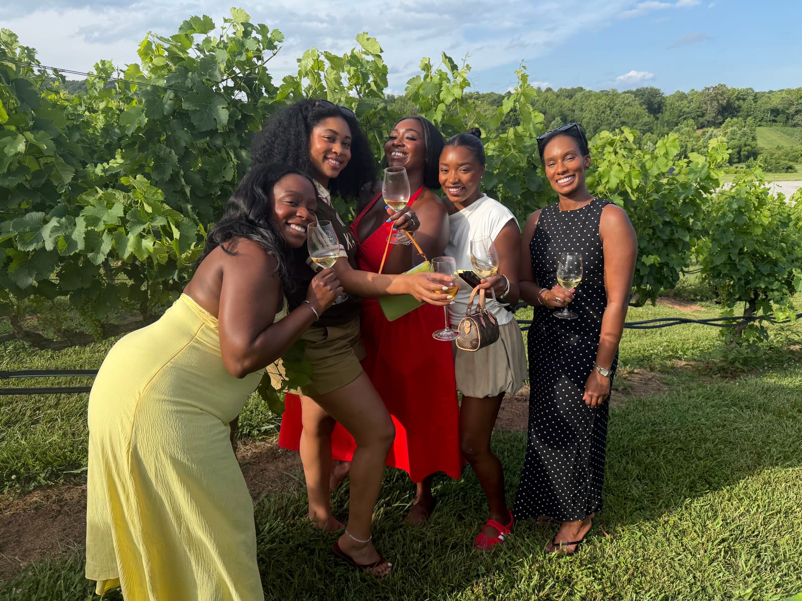 Pena Wine Tours guests and vineyard scenes in North Georgia