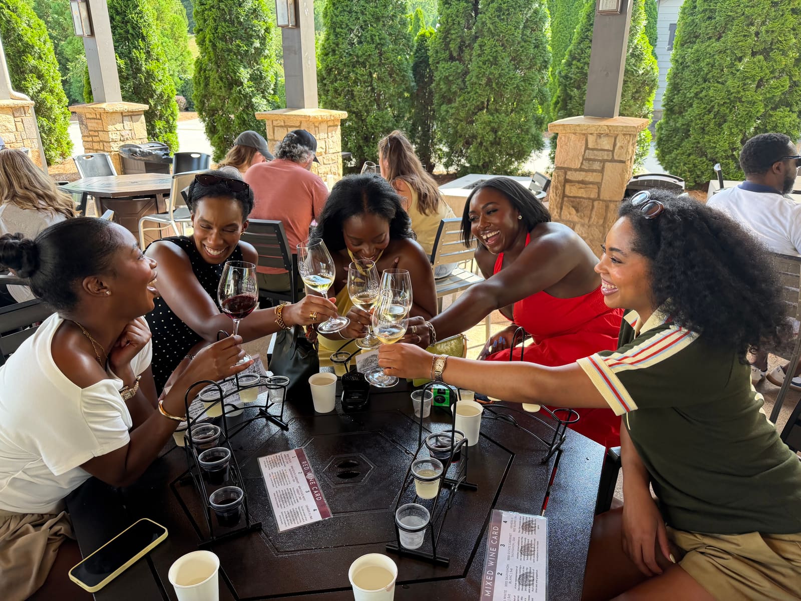 Pena Wine Tours guests and vineyard scenes in North Georgia